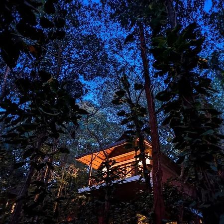 Coffee Acres Resort Калпетта Экстерьер фото