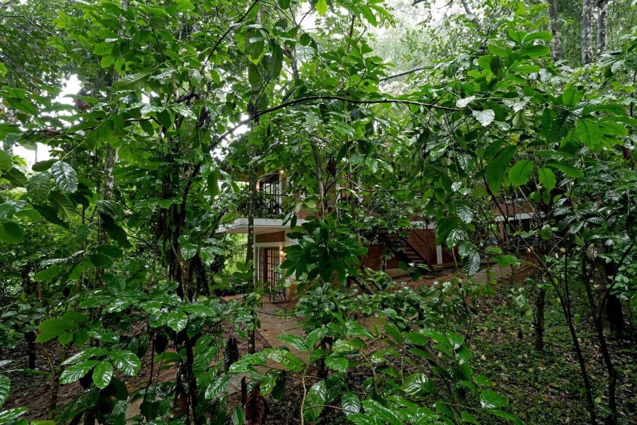 Coffee Acres Resort Калпетта Экстерьер фото