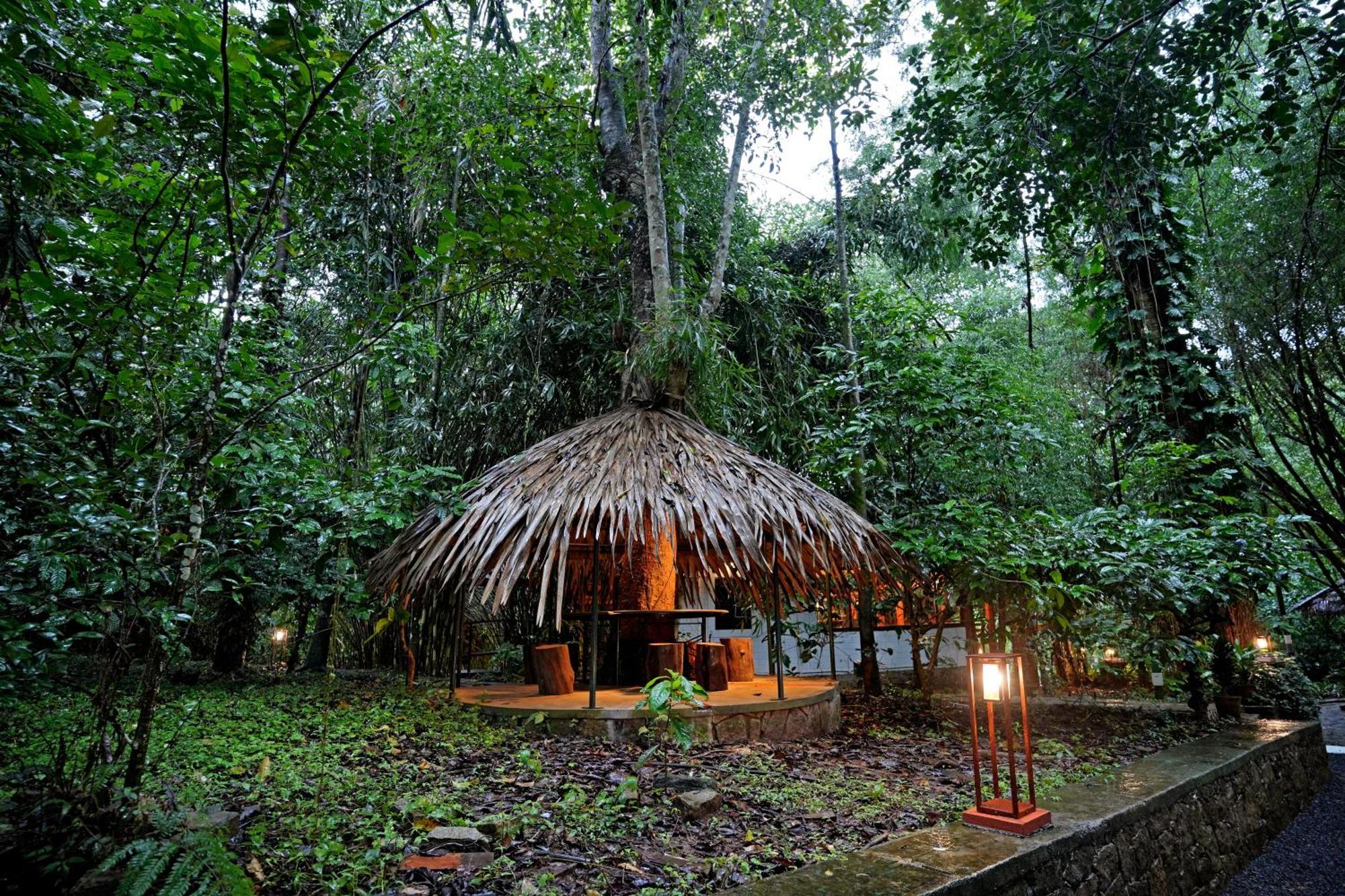 Coffee Acres Resort Калпетта Экстерьер фото