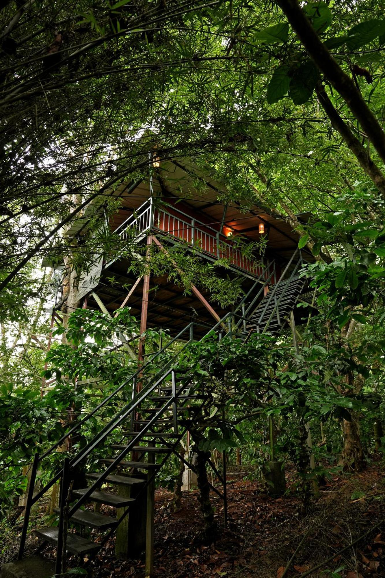 Coffee Acres Resort Калпетта Экстерьер фото