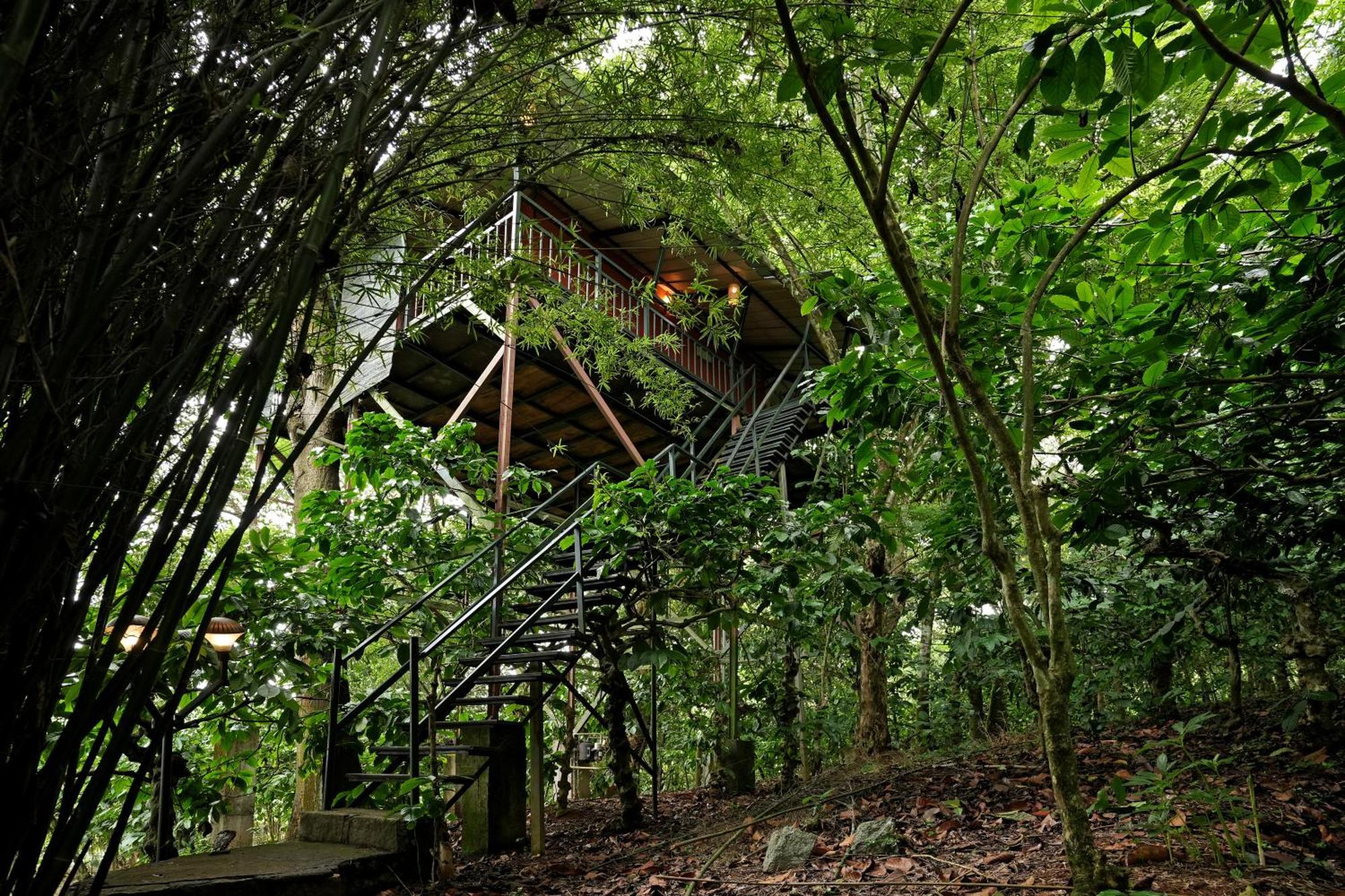 Coffee Acres Resort Калпетта Экстерьер фото
